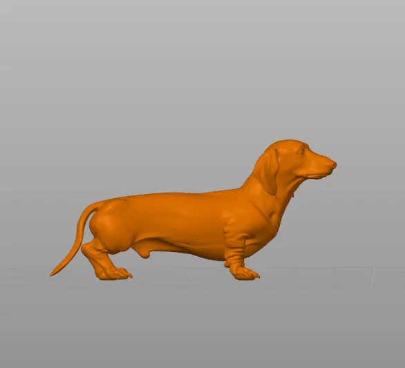 Mô hình 3D chó Dachshund (lạp xưởng) phiên bản cổ điển - Image 1