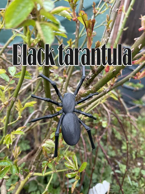 Mô hình nhện đen Tarantula, góa phụ đen siêu thực - Image 1