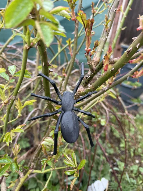 Mô hình nhện đen Tarantula, góa phụ đen siêu thực - Image 4