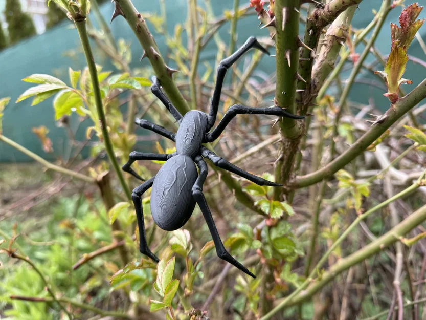 Mô hình nhện đen Tarantula, góa phụ đen siêu thực - Image 6