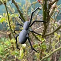 Mô hình nhện đen Tarantula, góa phụ đen siêu thực - Thumbnail 6
