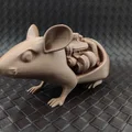Mô hình chú chuột máy cơ khí (Motorized mouse) độc đáo cho bàn làm việc - Thumbnail 5