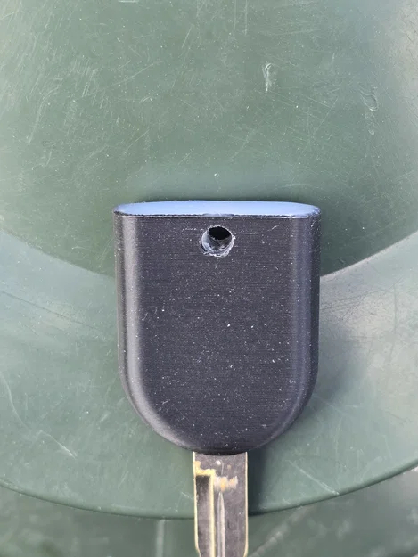 Ốp Thay Thế Sửa Lỗi Khoen Móc Khóa Ford - Image 2