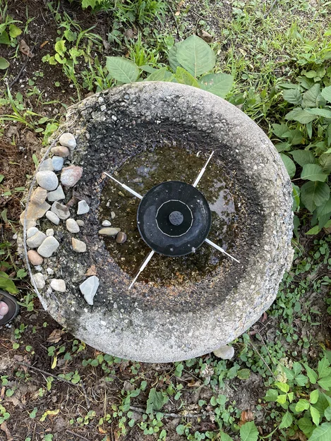 Khuôn in 3D sửa chữa vành chậu tắm chim bằng bê tông - Image 2