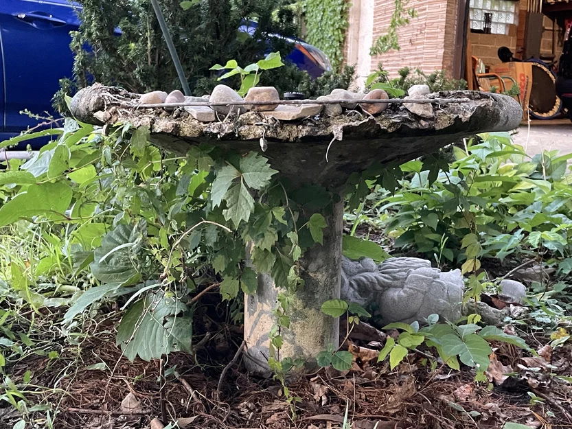 Khuôn in 3D sửa chữa vành chậu tắm chim bằng bê tông - Image 3