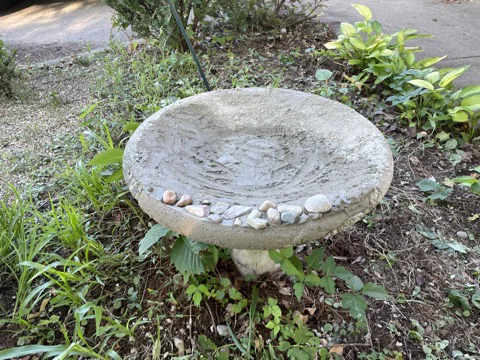 Khuôn in 3D sửa chữa vành chậu tắm chim bằng bê tông - Image 8