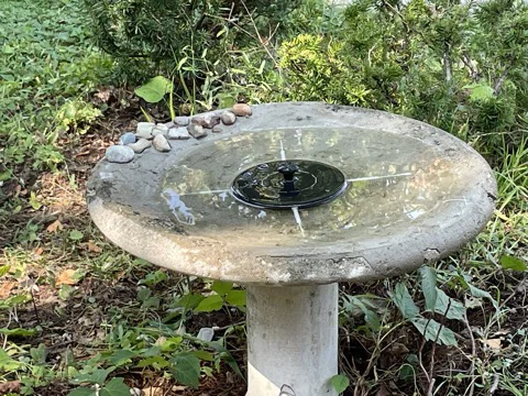 Khuôn in 3D sửa chữa vành chậu tắm chim bằng bê tông - Image 9