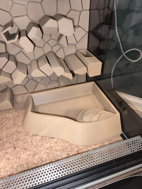 Bát Đựng Nước và Tắm Tự Nhiên Cho Terrarium - Image 2