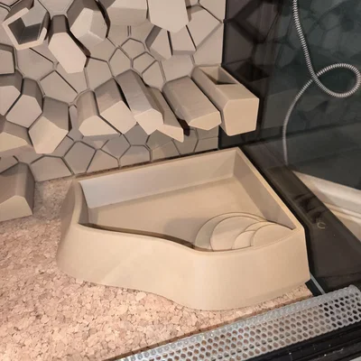 Bát Đựng Nước và Tắm Tự Nhiên Cho Terrarium