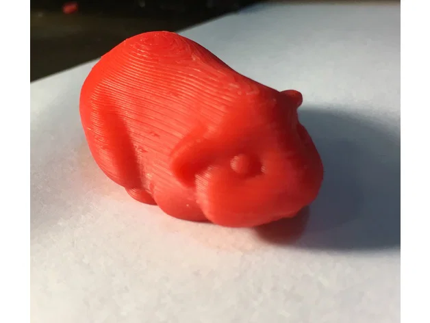 Mô hình chú bọ ú (Guinea Pig) đáng yêu để in 3D trang trí - Image 1