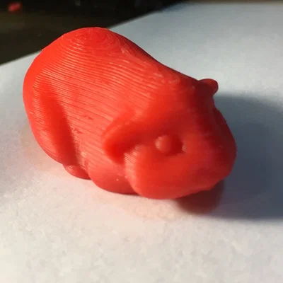 Mô hình chú bọ ú (Guinea Pig) đáng yêu để in 3D trang trí