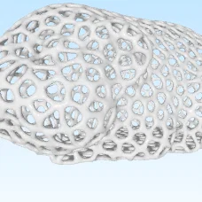 Mô hình chuột lang Guinea Pig thiết kế lưới Voro 3D độc đáo