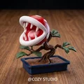 Bonsai Cây Ăn Thịt Piranha Mario / KHÔNG CẦN AMS - Thumbnail 1