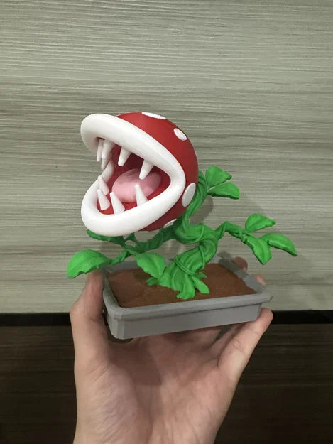 Bonsai Cây Ăn Thịt Piranha Mario / KHÔNG CẦN AMS - Image 3