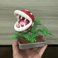 Bonsai Cây Ăn Thịt Piranha Mario / KHÔNG CẦN AMS - Thumbnail 3