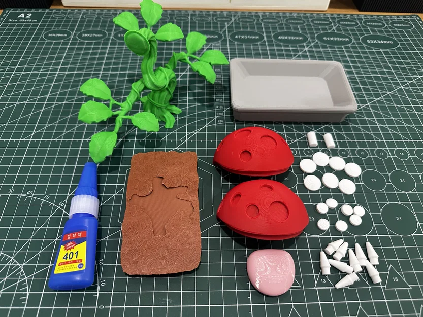 Bonsai Cây Ăn Thịt Piranha Mario / KHÔNG CẦN AMS - Image 4