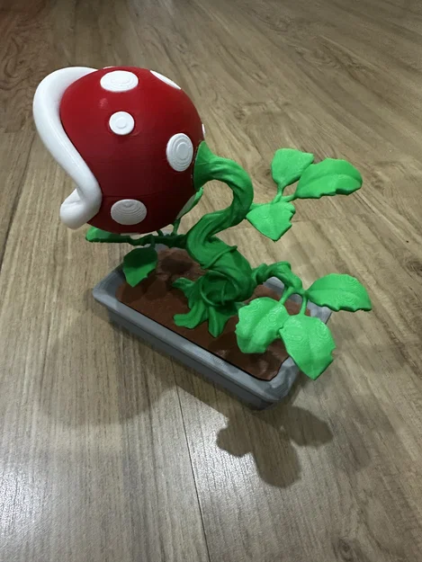 Bonsai Cây Ăn Thịt Piranha Mario / KHÔNG CẦN AMS - Image 6