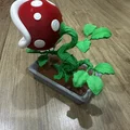 Bonsai Cây Ăn Thịt Piranha Mario / KHÔNG CẦN AMS - Thumbnail 6