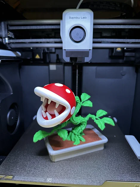 Bonsai Cây Ăn Thịt Piranha Mario / KHÔNG CẦN AMS - Image 7