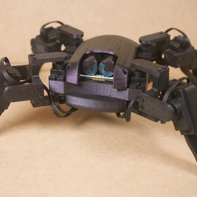 Robot nhện 4 chân Quad-Robotic Spider 2DOF