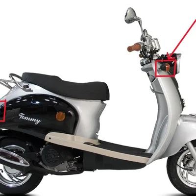 Xi nhan thay thế cho xe ZN50QT-A (Tương thích Minerva/Lexmoto Tommy/Znen/Zoë/Scooty)