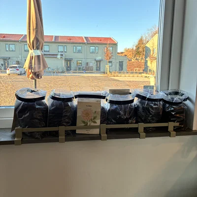 Hàng rào bảo vệ chậu cây trên bệ cửa sổ