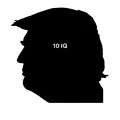 Áp phích biểu tình No Kings - Trump 10 IQ - Thumbnail 2