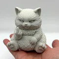 Chú Mèo Bông Quạu Quọ (Grumpy Fluff Kitten) - Đáng yêu đầy cá tính - Thumbnail 1