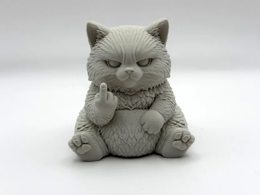 Chú Mèo Bông Quạu Quọ (Grumpy Fluff Kitten) - Đáng yêu đầy cá tính - Image 2