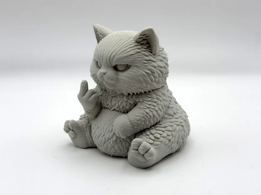 Chú Mèo Bông Quạu Quọ (Grumpy Fluff Kitten) - Đáng yêu đầy cá tính - Image 3