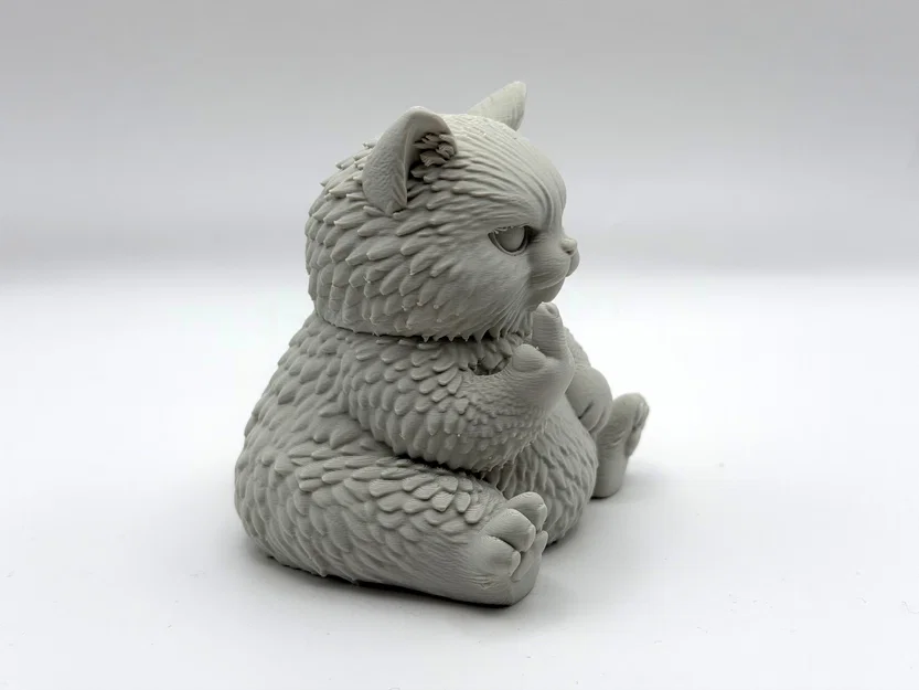 Chú Mèo Bông Quạu Quọ (Grumpy Fluff Kitten) - Đáng yêu đầy cá tính - Image 5