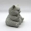 Chú Mèo Bông Quạu Quọ (Grumpy Fluff Kitten) - Đáng yêu đầy cá tính - Thumbnail 5