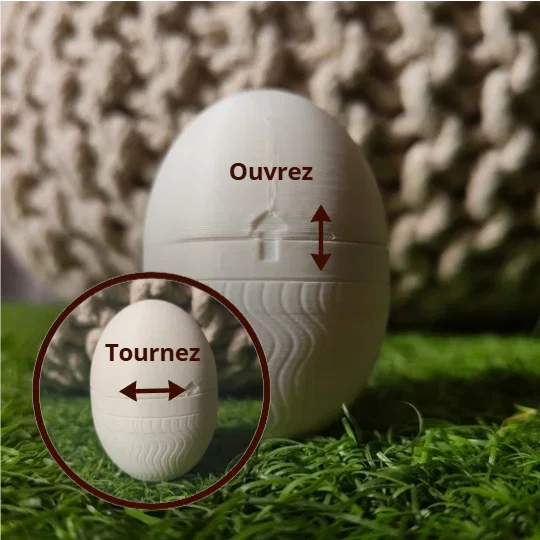 Trứng Bất Ngờ Modular Có Khóa - Image 3