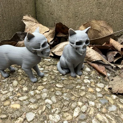 Mèo Kinh Dị Đầu Lâu (Scary Cats with Skulls)