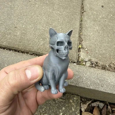 Mèo Kinh Dị Đầu Lâu (Scary Cats with Skulls)