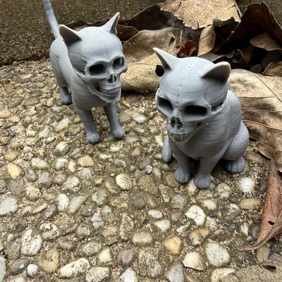 Mèo Kinh Dị Đầu Lâu (Scary Cats with Skulls)