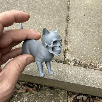 Mèo Kinh Dị Đầu Lâu (Scary Cats with Skulls)
