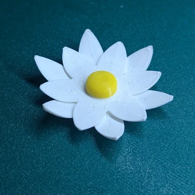 Hoa cúc nam châm (Magnetic daisy)