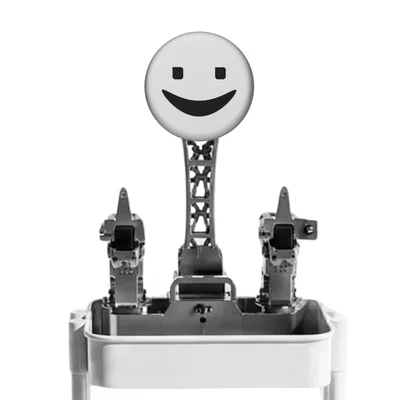 Mặt nạ XLeRobot Face