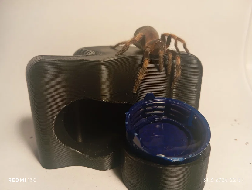 Nhà ẩn náu cho nhện cảnh - Thiết kế thông minh Tarantula House V2 - Image 1