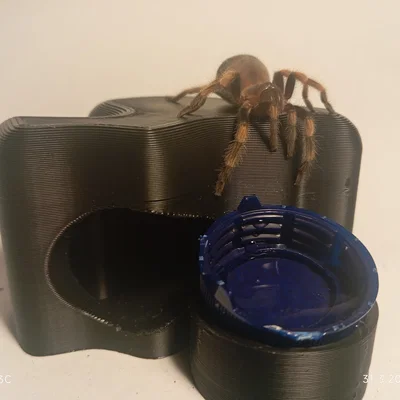 Nhà ẩn náu cho nhện cảnh - Thiết kế thông minh Tarantula House V2