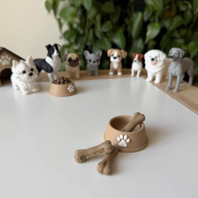 Dog bone - Khúc xương cho cún cưng