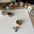 Dog bone - Khúc xương cho cún cưng - Thumbnail 2