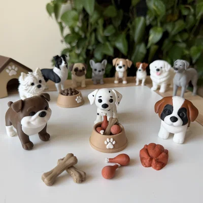 Dog bone - Khúc xương cho cún cưng