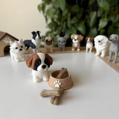 Dog bone - Khúc xương cho cún cưng