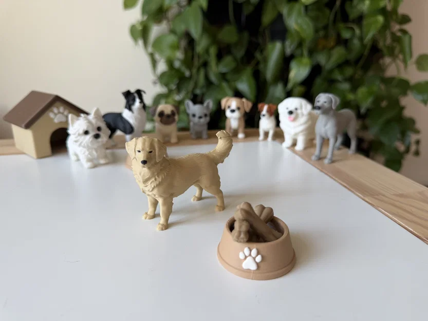 Dog bone - Khúc xương cho cún cưng - Image 5