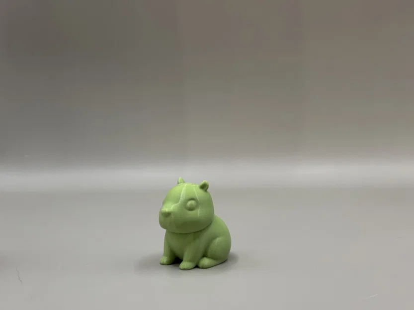 Capybara – 27 phút – Bậc thầy của sự chill! - Image 2