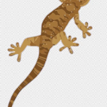 Mô hình thằn lằn cử động linh hoạt (Lizard Flexi) in 3D độc đáo