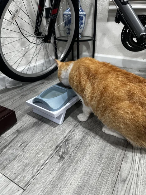 Đế kê bát ăn cho mèo (Parametric) - Image 2