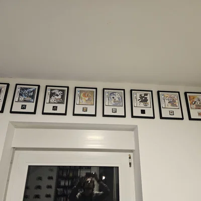 Khung Treo Tường Trưng Bày Hộp Game và Thẻ Nintendo 3DS